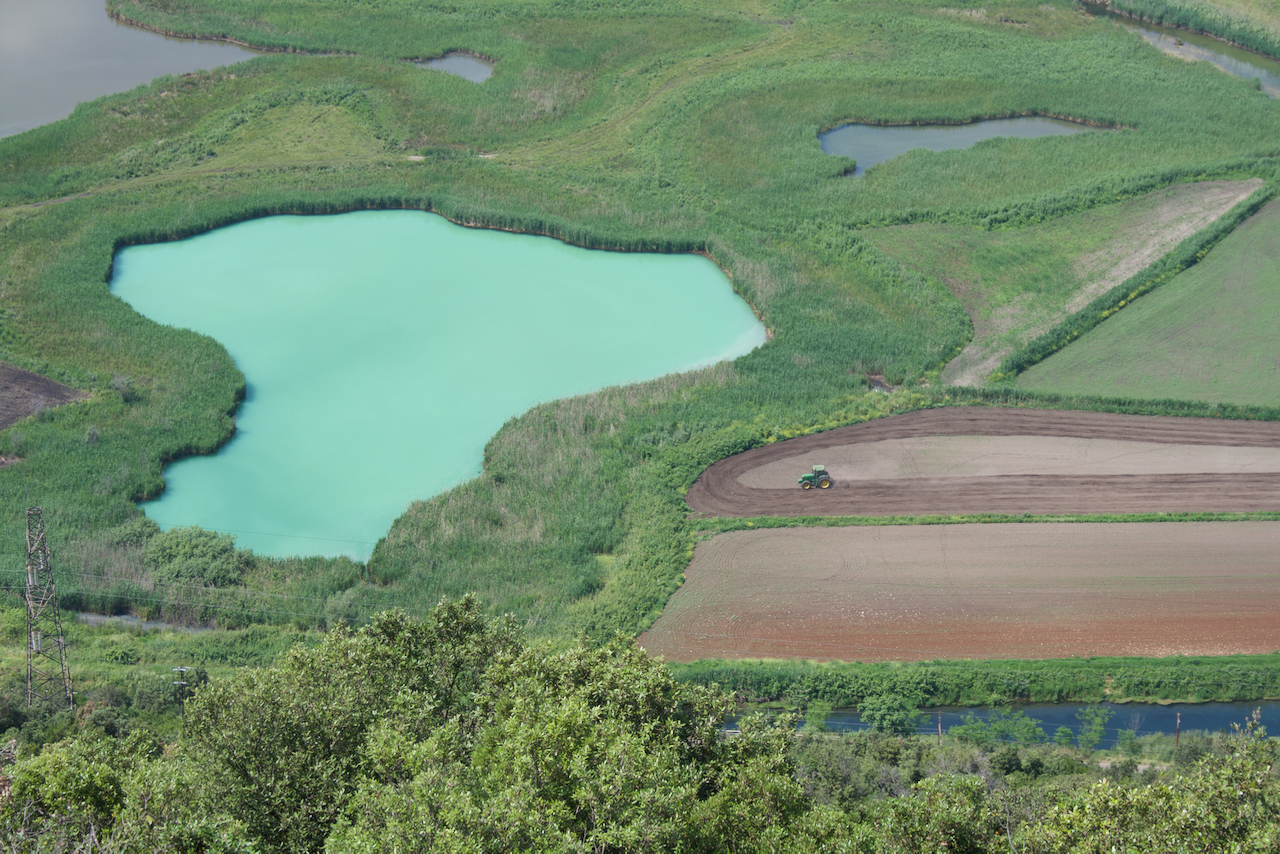 Il Patto Per La Biodiversità Dell’Agro Pontino - Greenchange