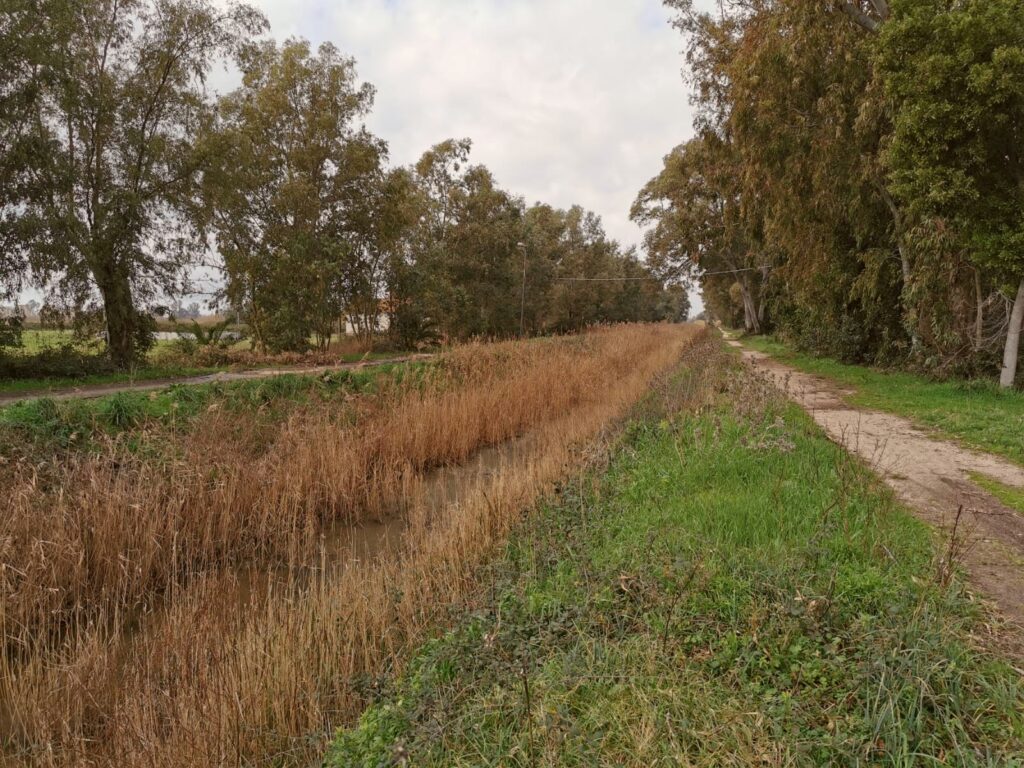 progetto greenchange canali di bonifica sopralluoghi